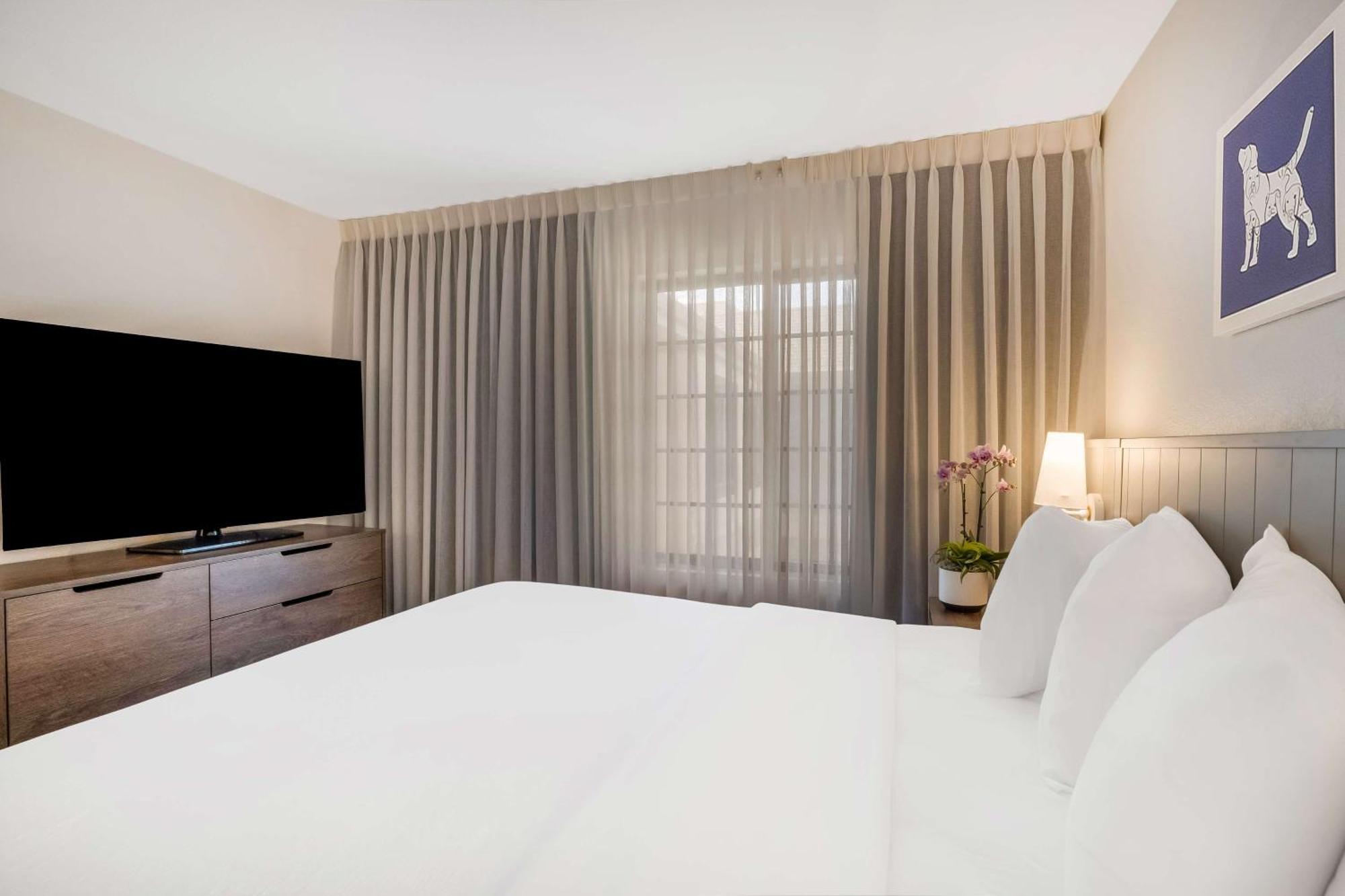 Sonesta Es Suites Denver South Park Meadows Lone Tree Kültér fotó